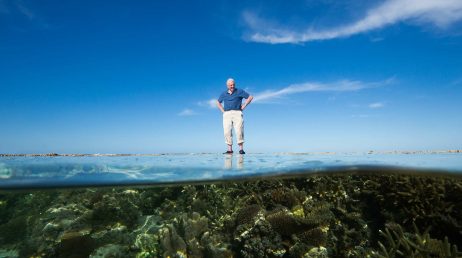 David Attenborough's Great Barrier Reef Dive VR