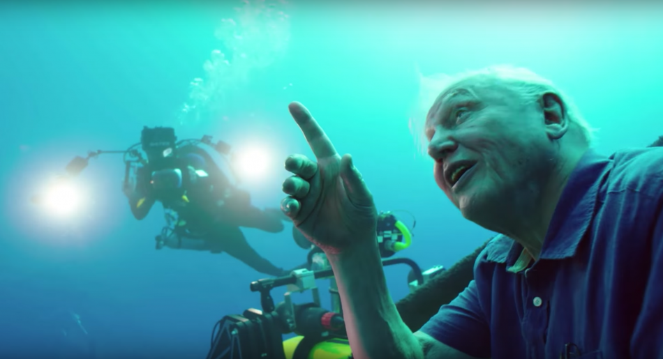 David Attenborough's Great Barrier Reef Dive VR