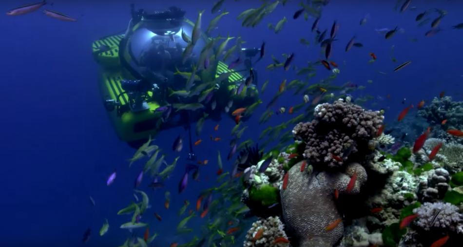 David Attenborough's Great Barrier Reef Dive VR